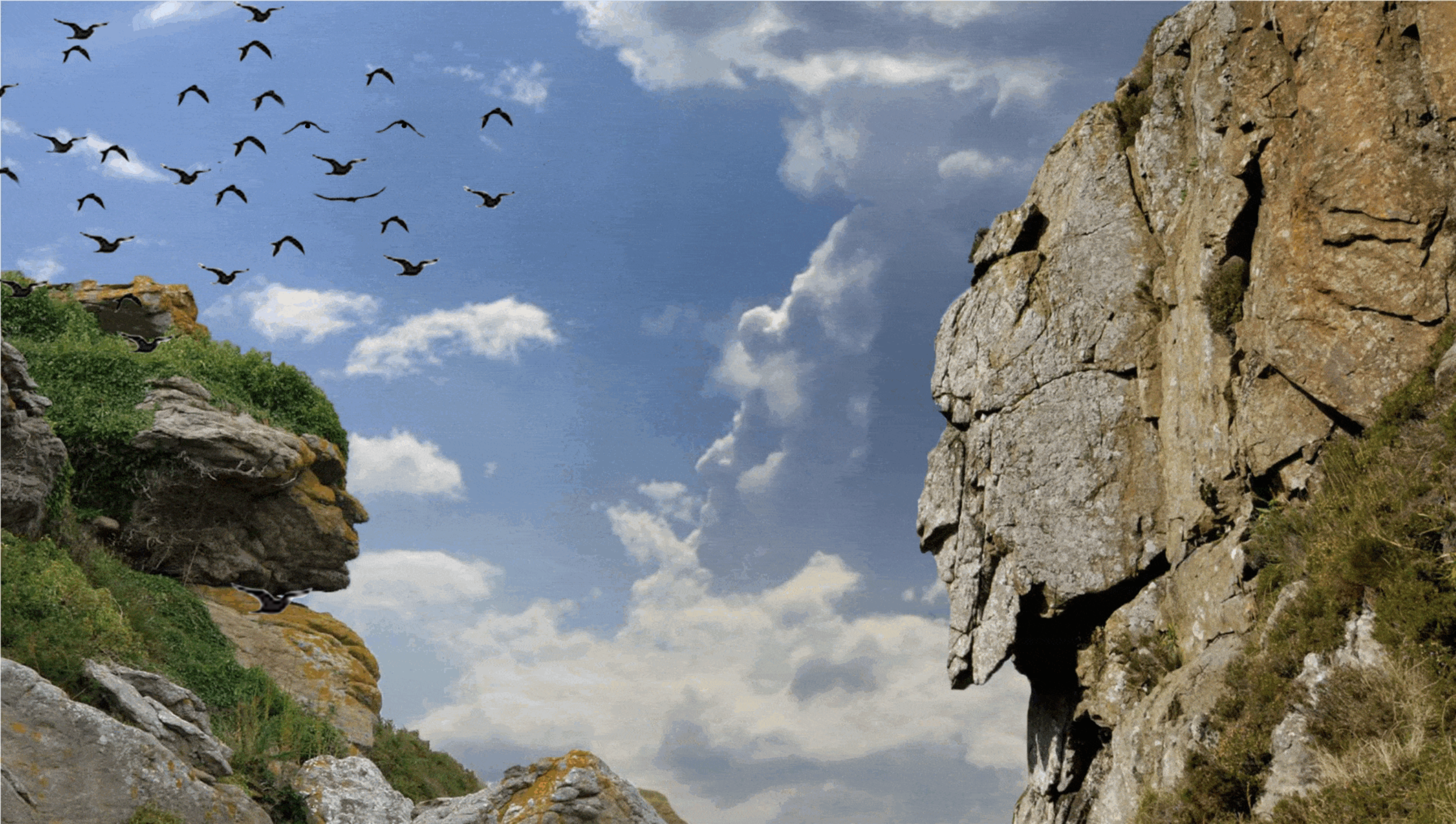 Link to Visage Visuals